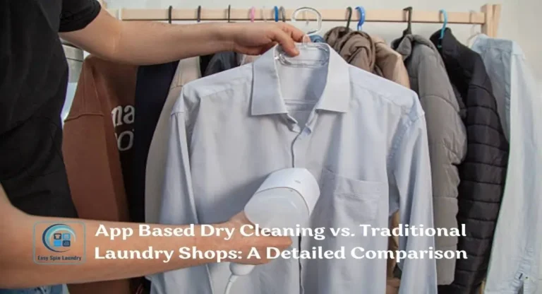 App Based Dry Cleaning