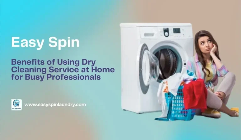 dry cleaning service at home