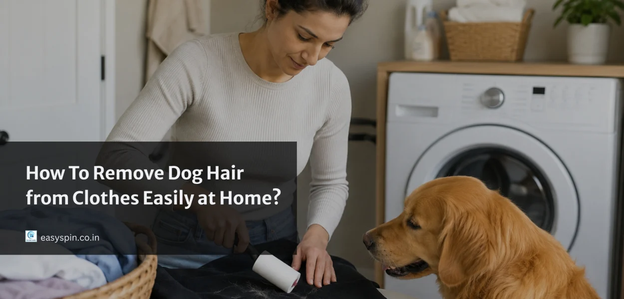 how to remove dog hair from clothes at home