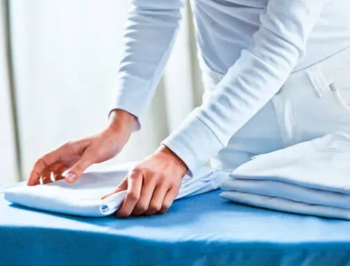 Steam Iron Service - Easy Spin ​