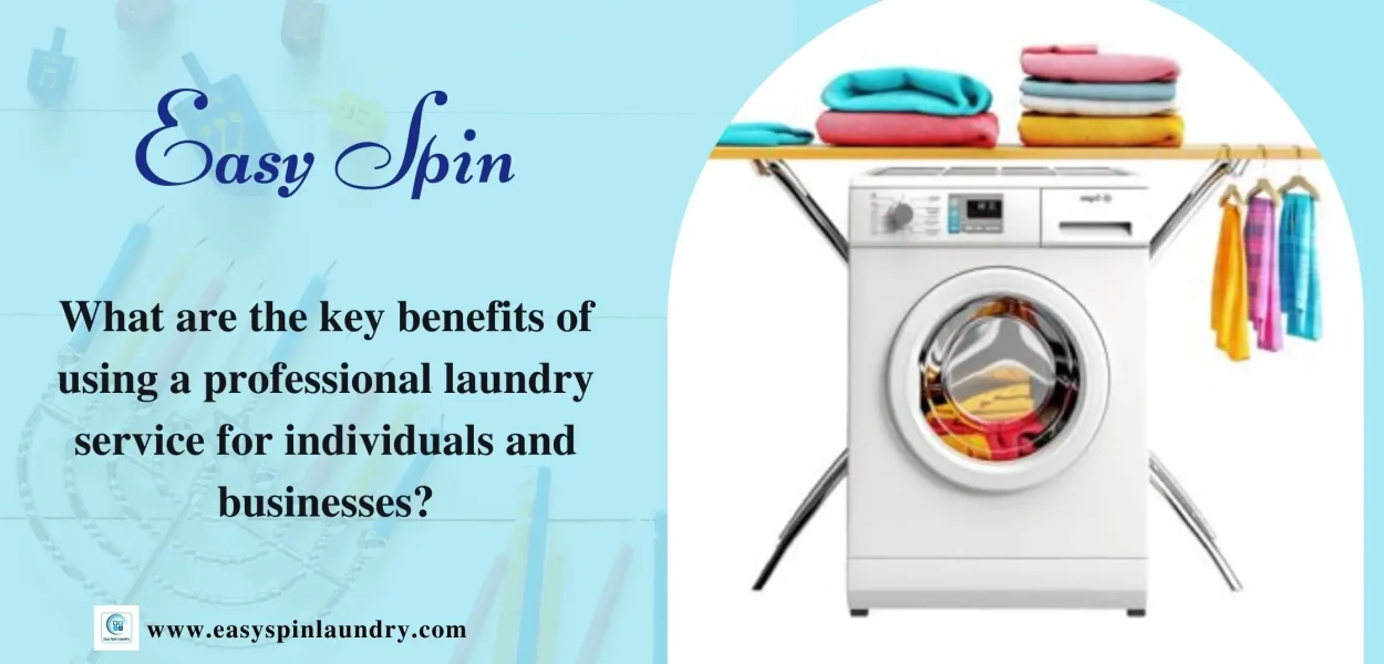 professional laundry service