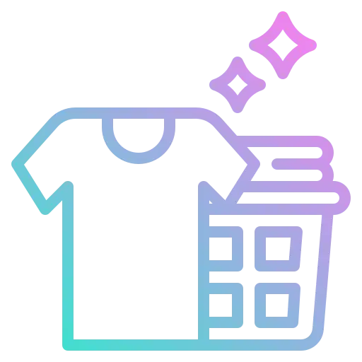 Professional garment care icon for Wash and Iron service in Kota
